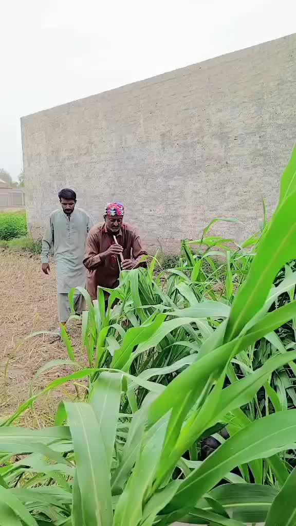 @Baadshah125