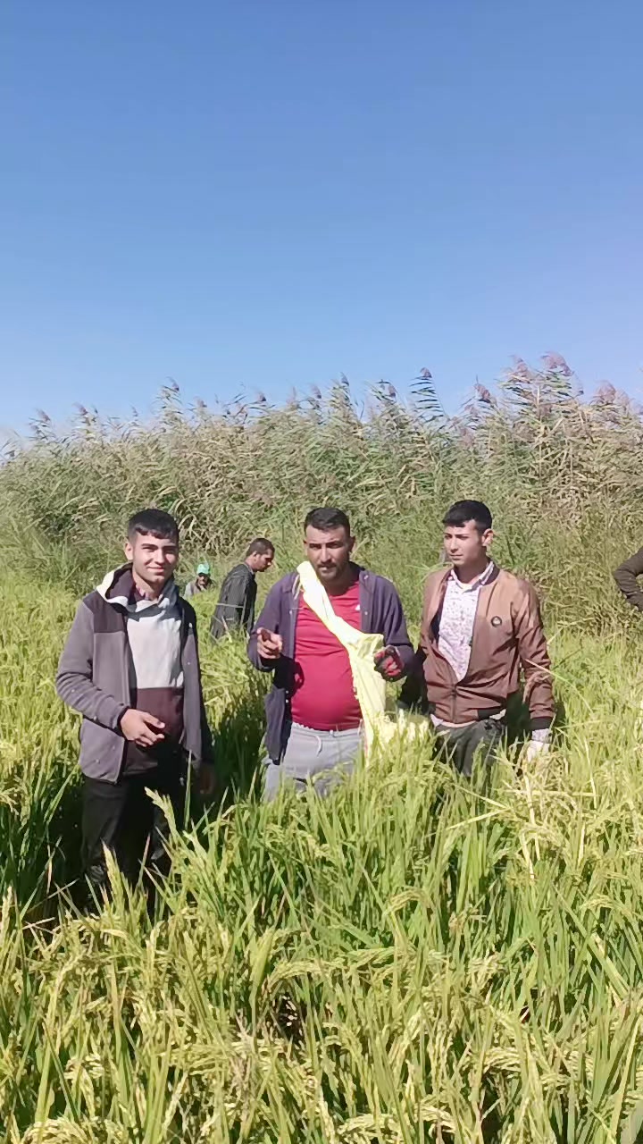 @Diriliş Ertuğrul