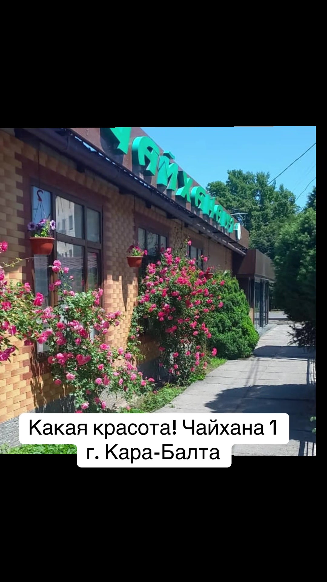 @Новости karabalta_87