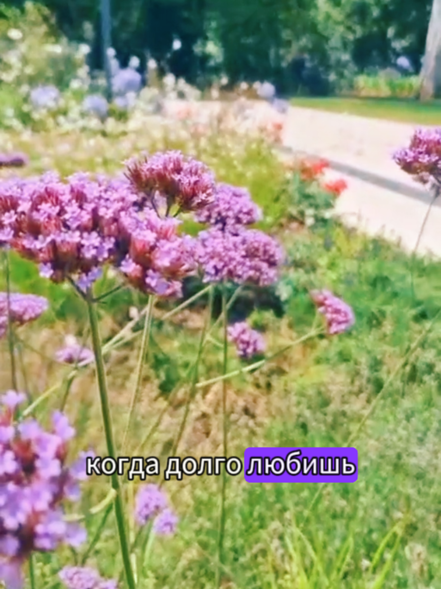 @Марина 🌹🍃