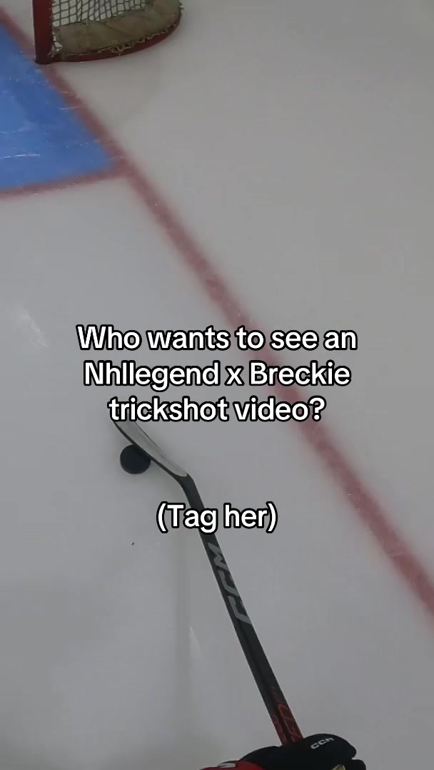 @Hockey Legend