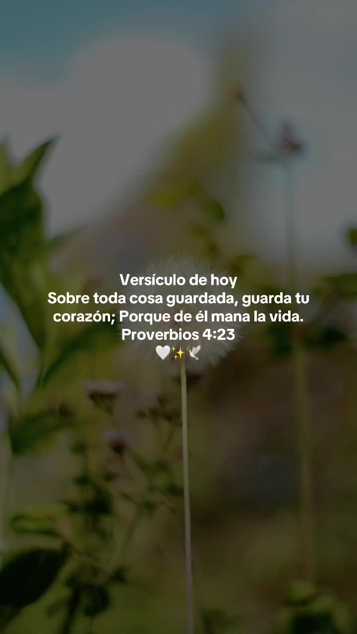 @Aleluya