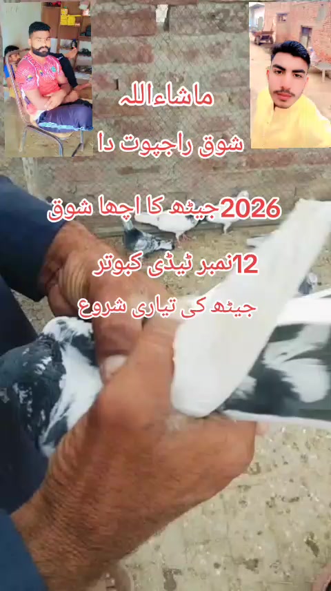 @Nabeel Rajpoot