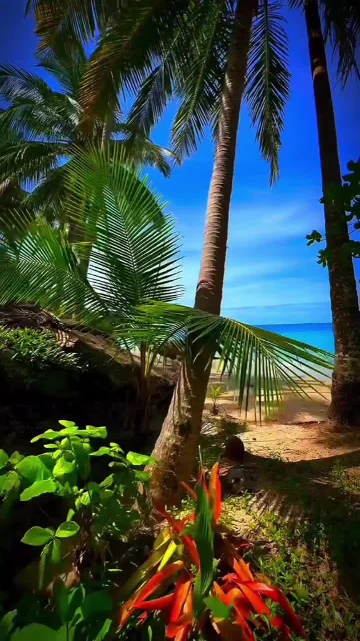 @elisha_25