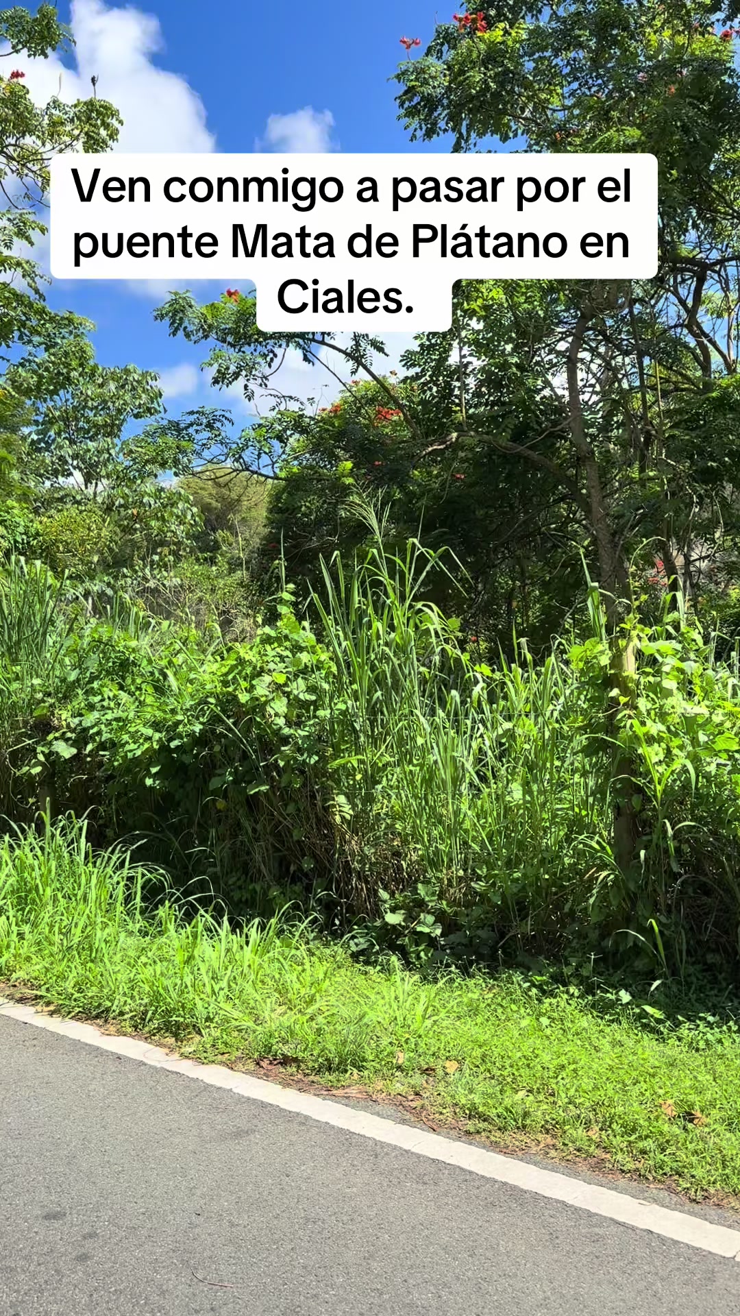 @Era Por Ahi 🇵🇷