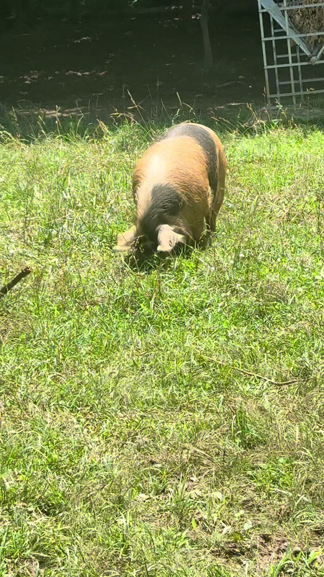 @merrickfarmstead