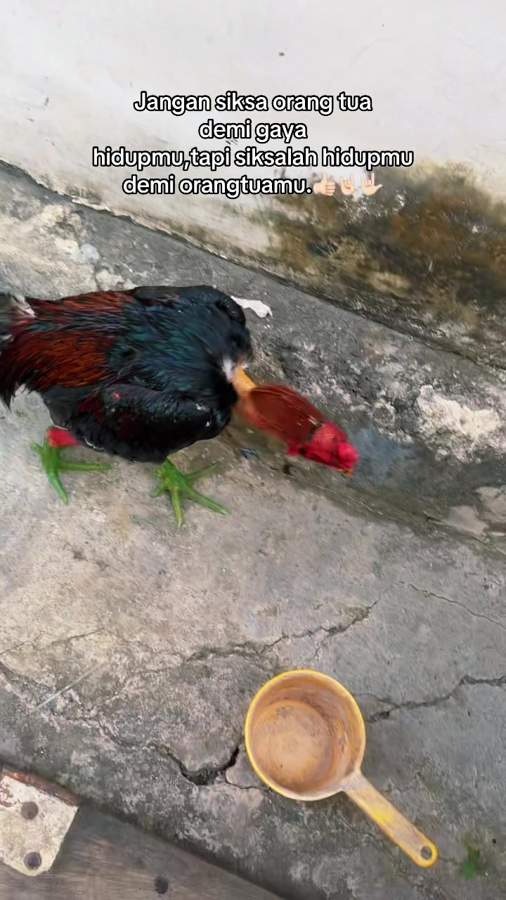 @PM/PENGUSAHA MUDAH