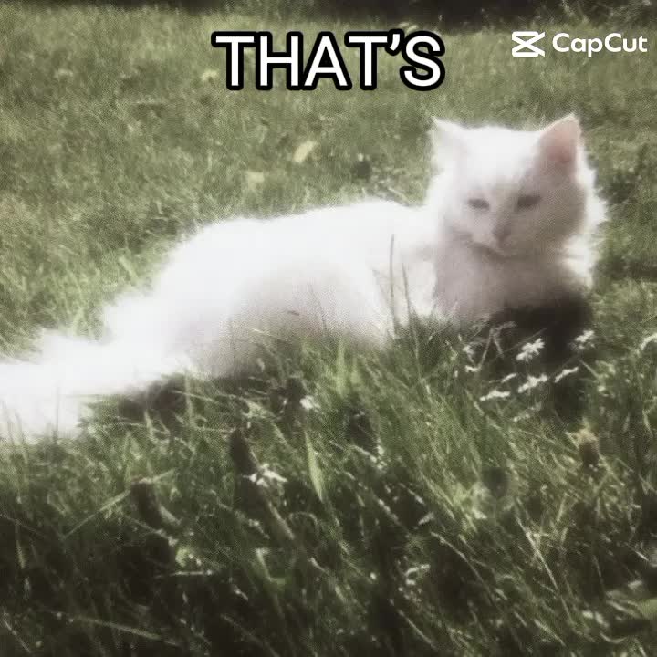 @꧁✩𝐜𝐫𝐢𝐬𝐭𝐚𝐥𝐥✩꧂