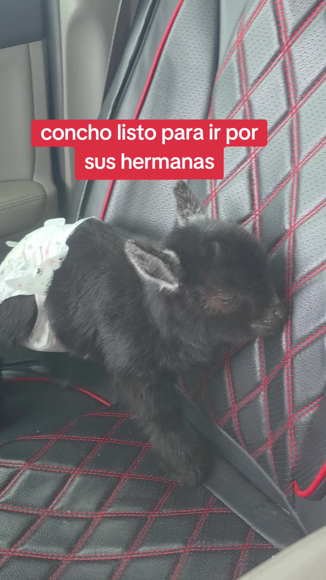 @mayte.famersRanch🐄🐃🐂🐑