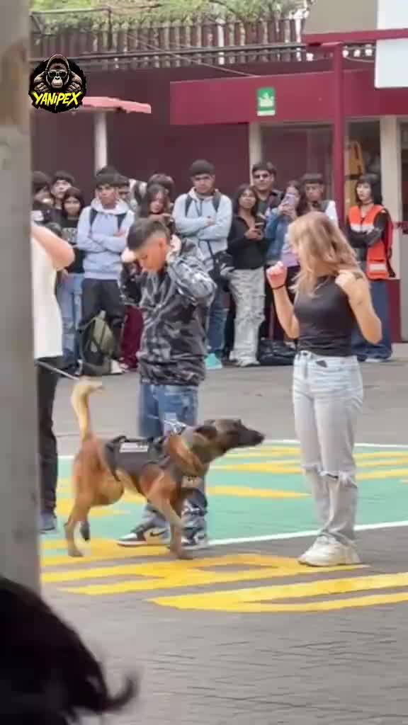 @Héctor Carrillo777