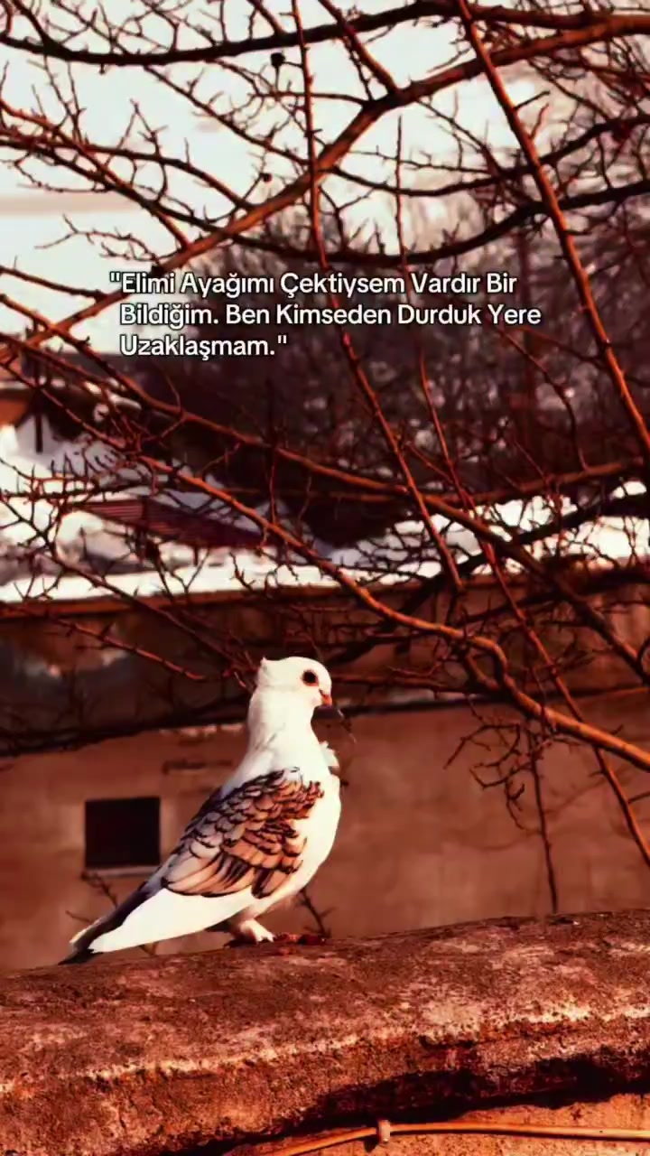 @Barbaros&Ccedil;iftliği