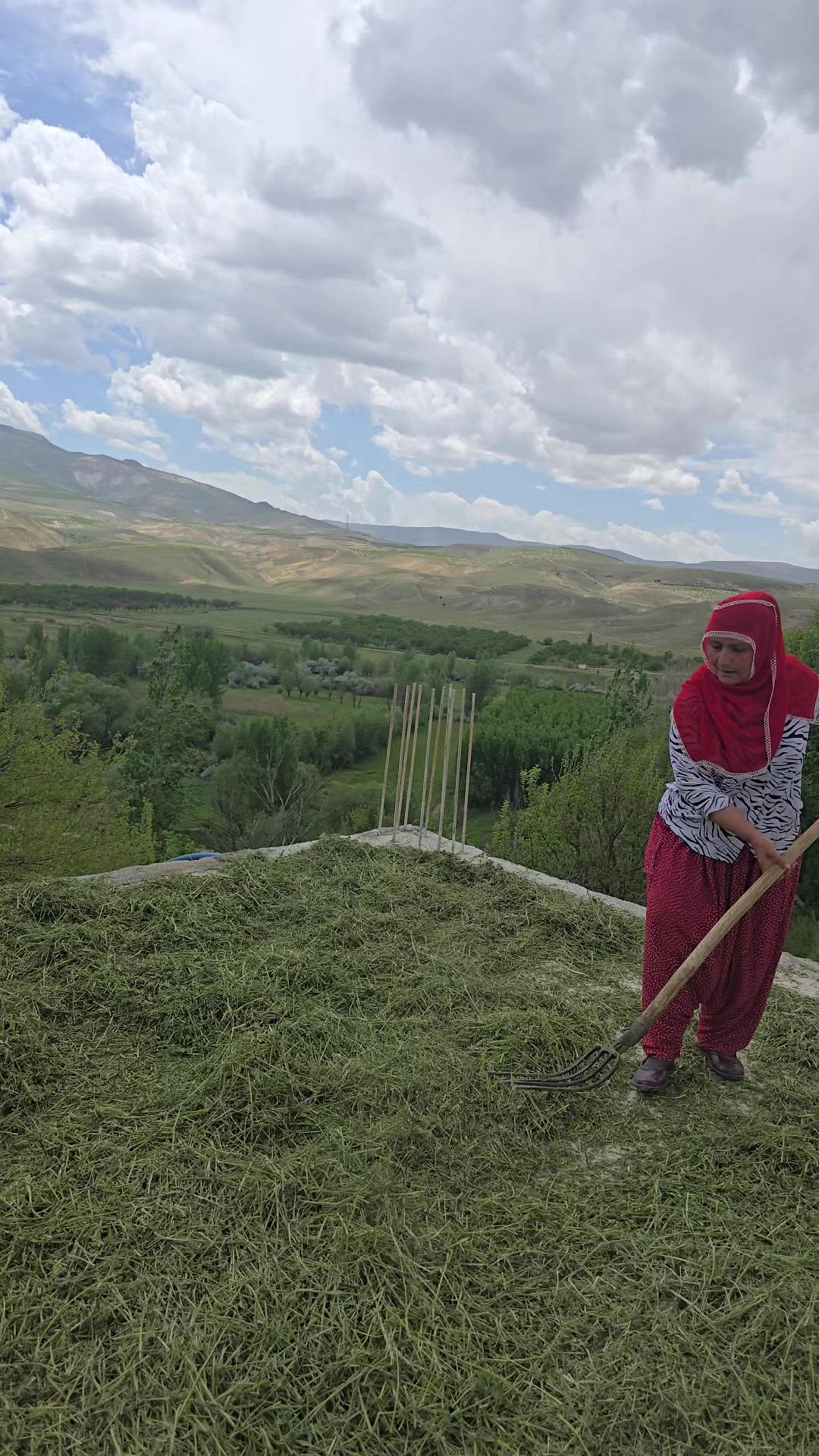 @k&ouml;yl&uuml; kızı,,