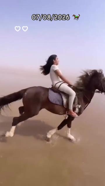 @WissaL 🐎 وصال