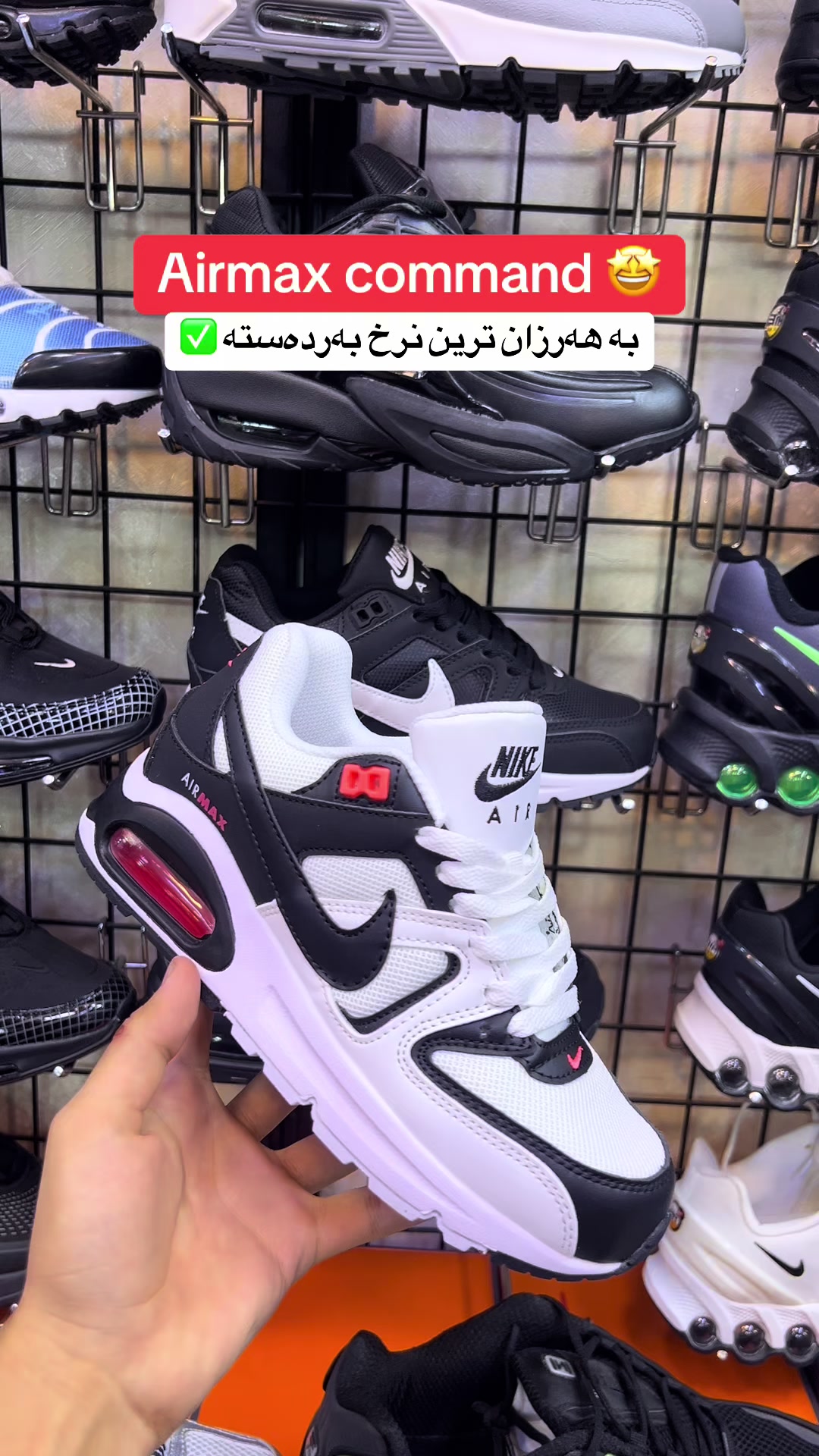 @JD KURDISTAN✅