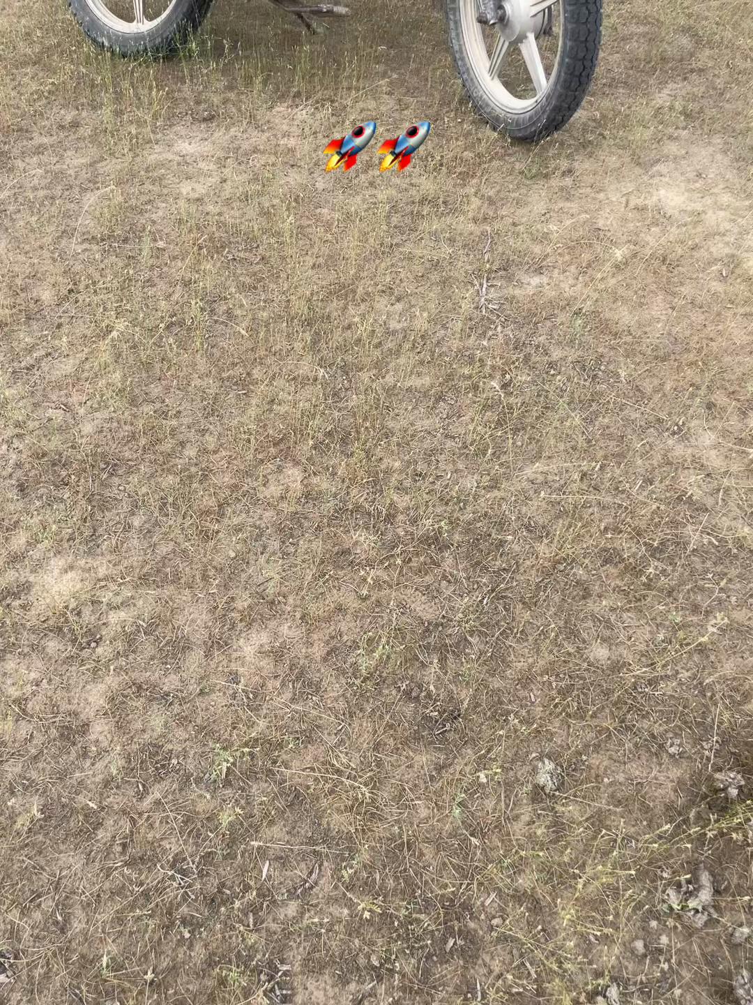 @Сары_🦅