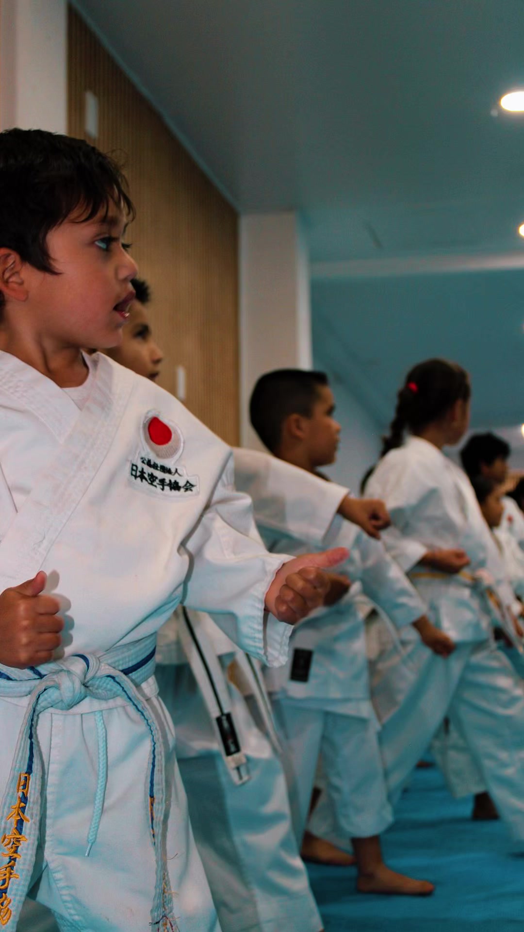 @Karate Mushinkan
