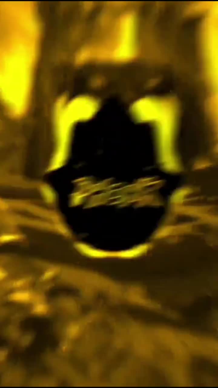 @XXX