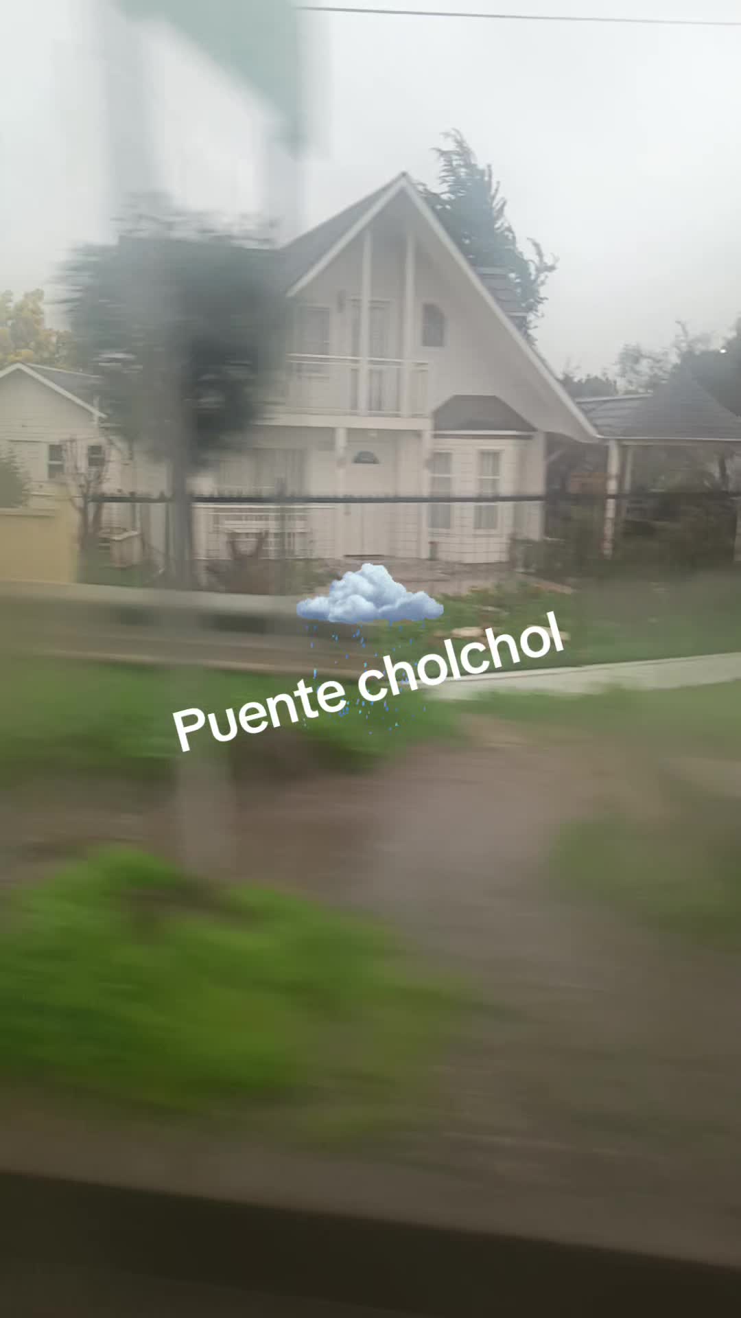 @martamillan772