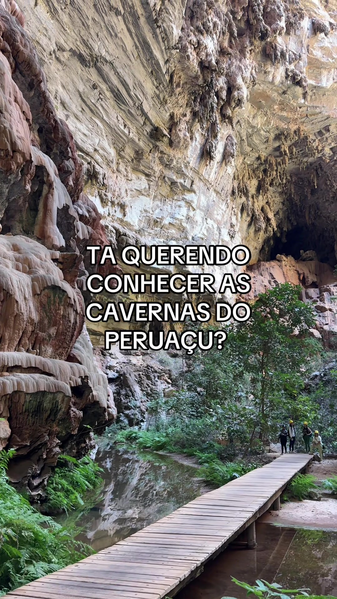 @Taynara Barbosa
