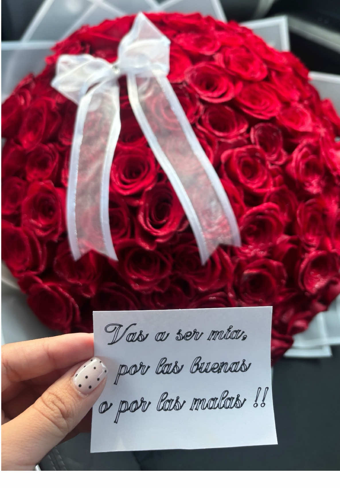 @Keyla Avendaño