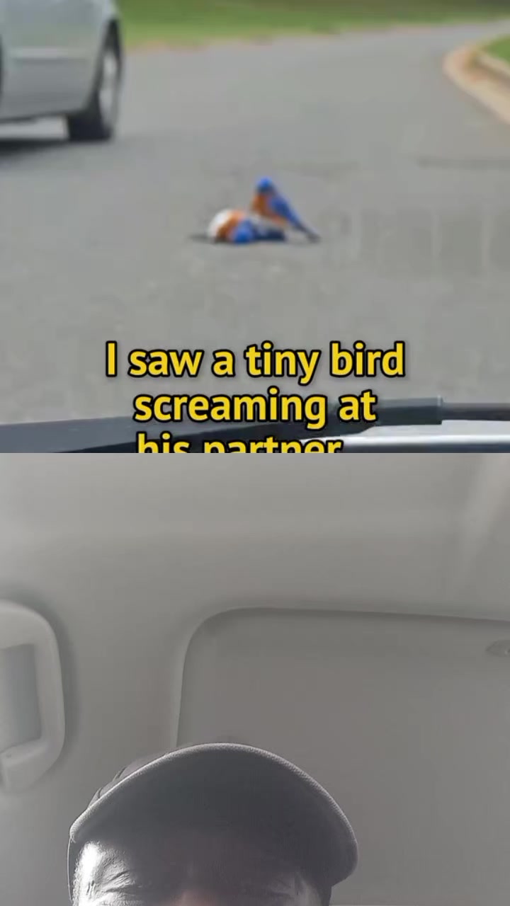 @ben