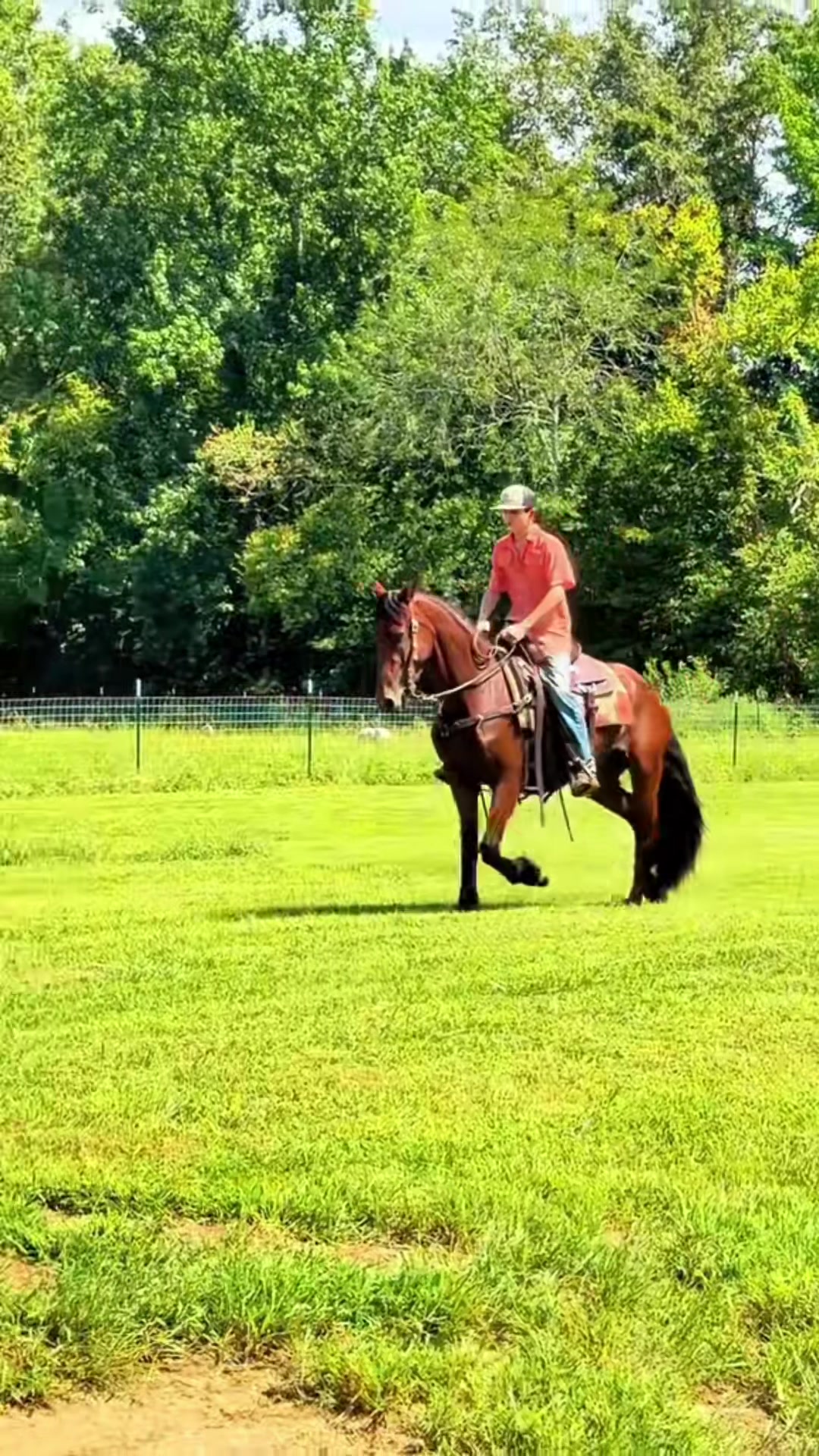 @Lucky D Ranch 🍀