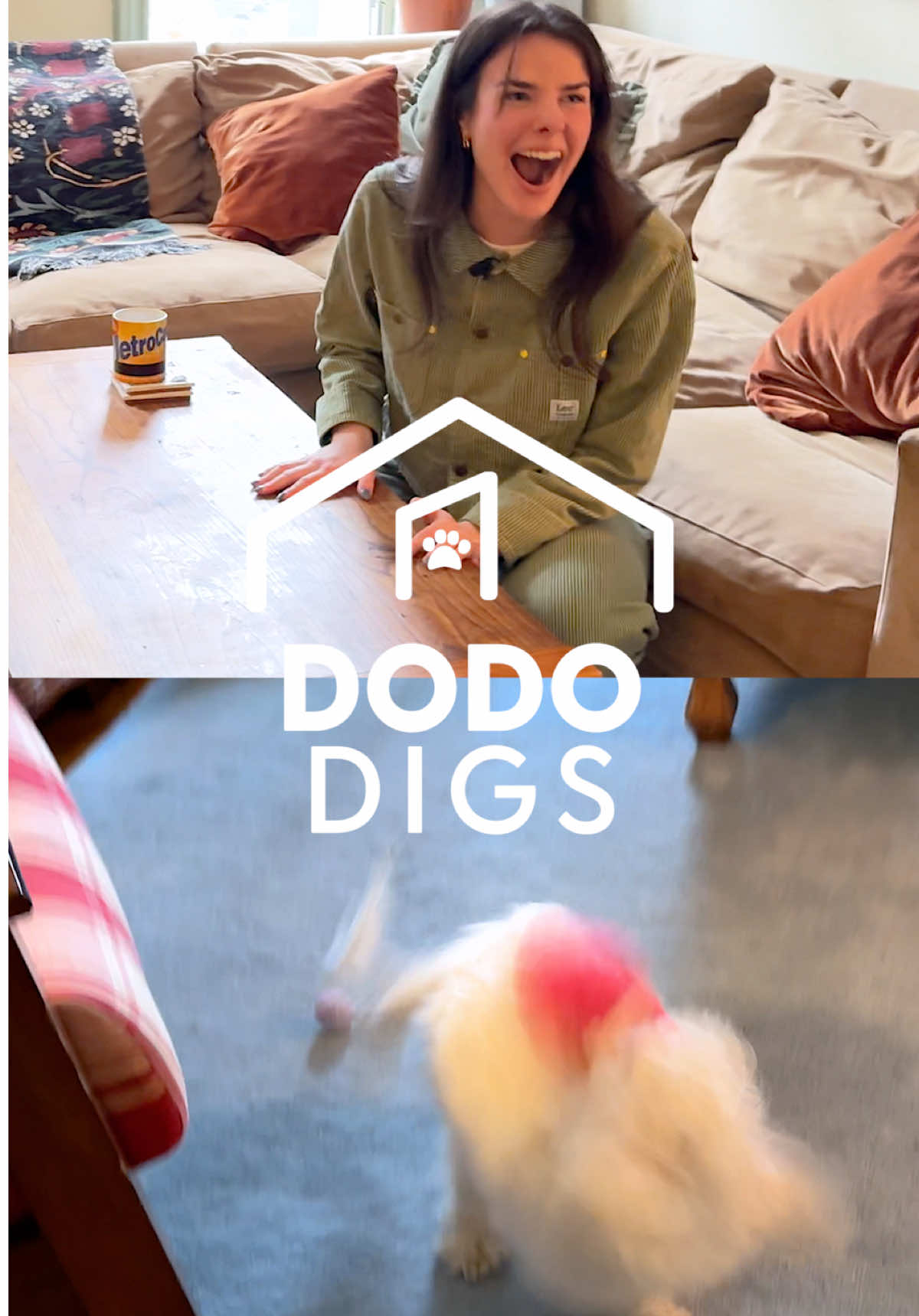 @The Dodo