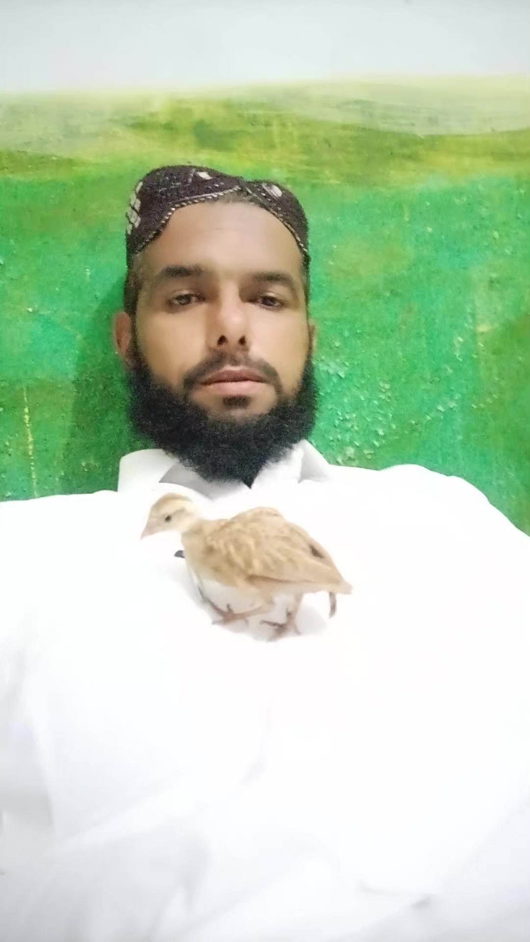 @innocent shinwari