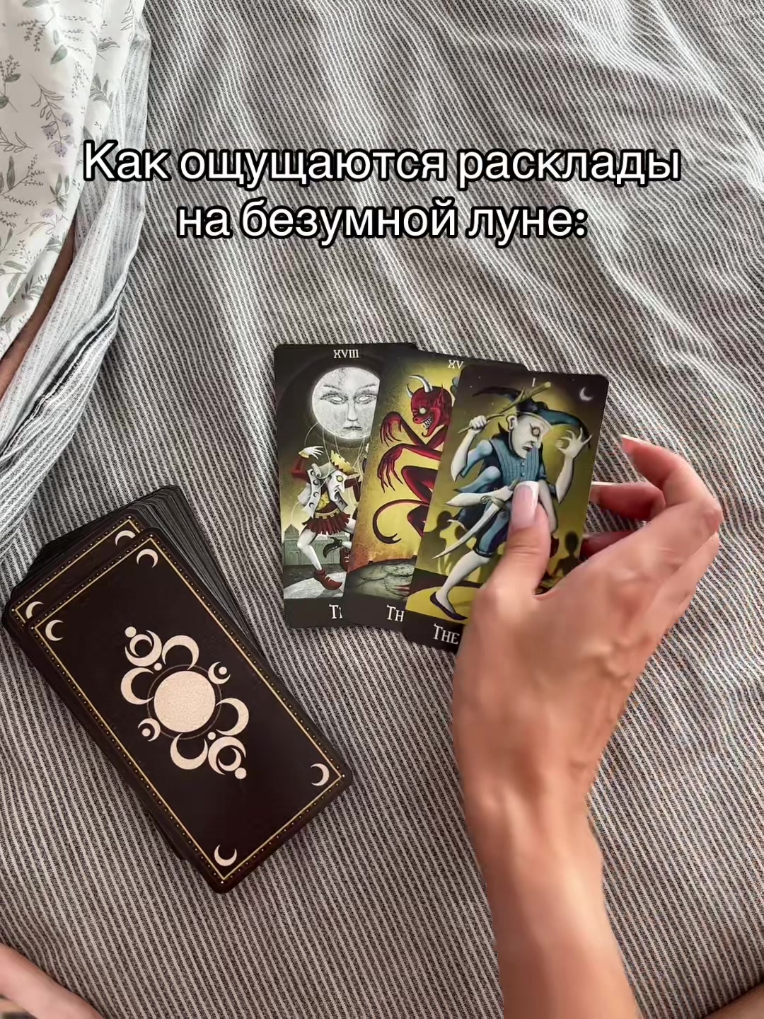 @a_shvaiuk