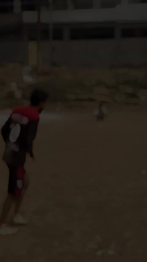@حمزہ حان👑