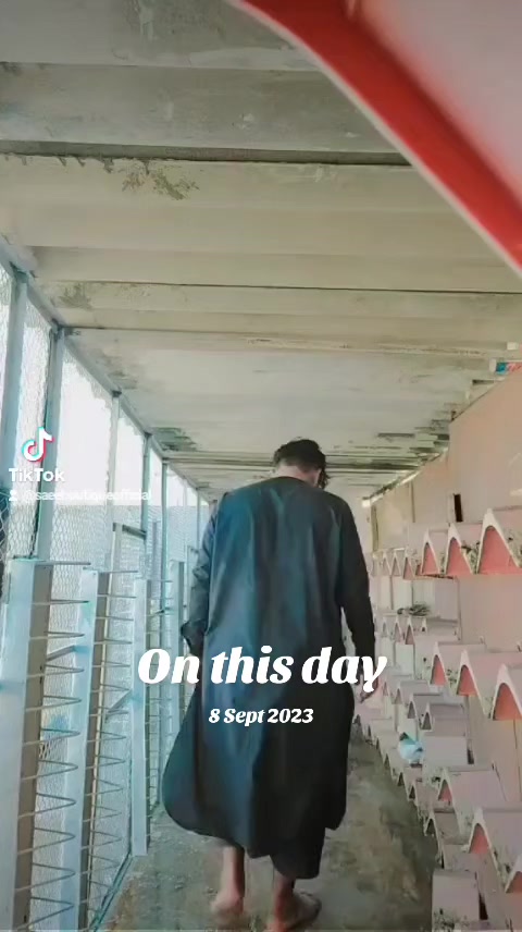 @Saeed King khan