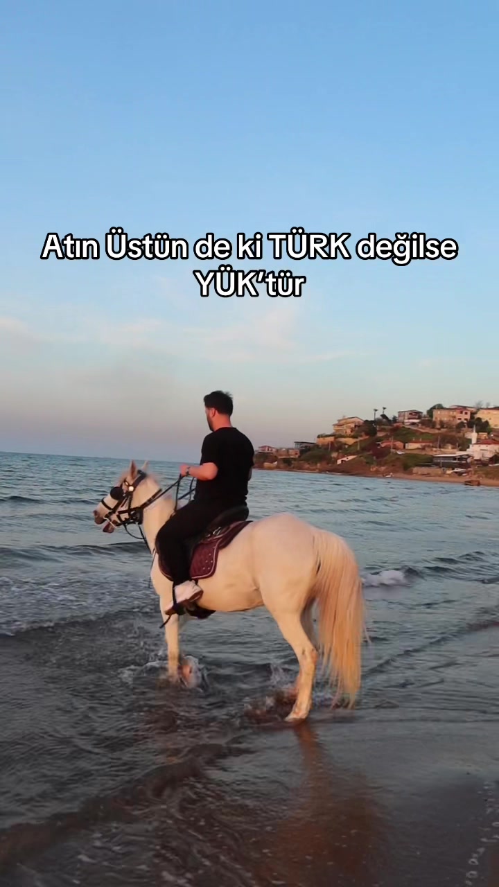 @Deniz gülbudak