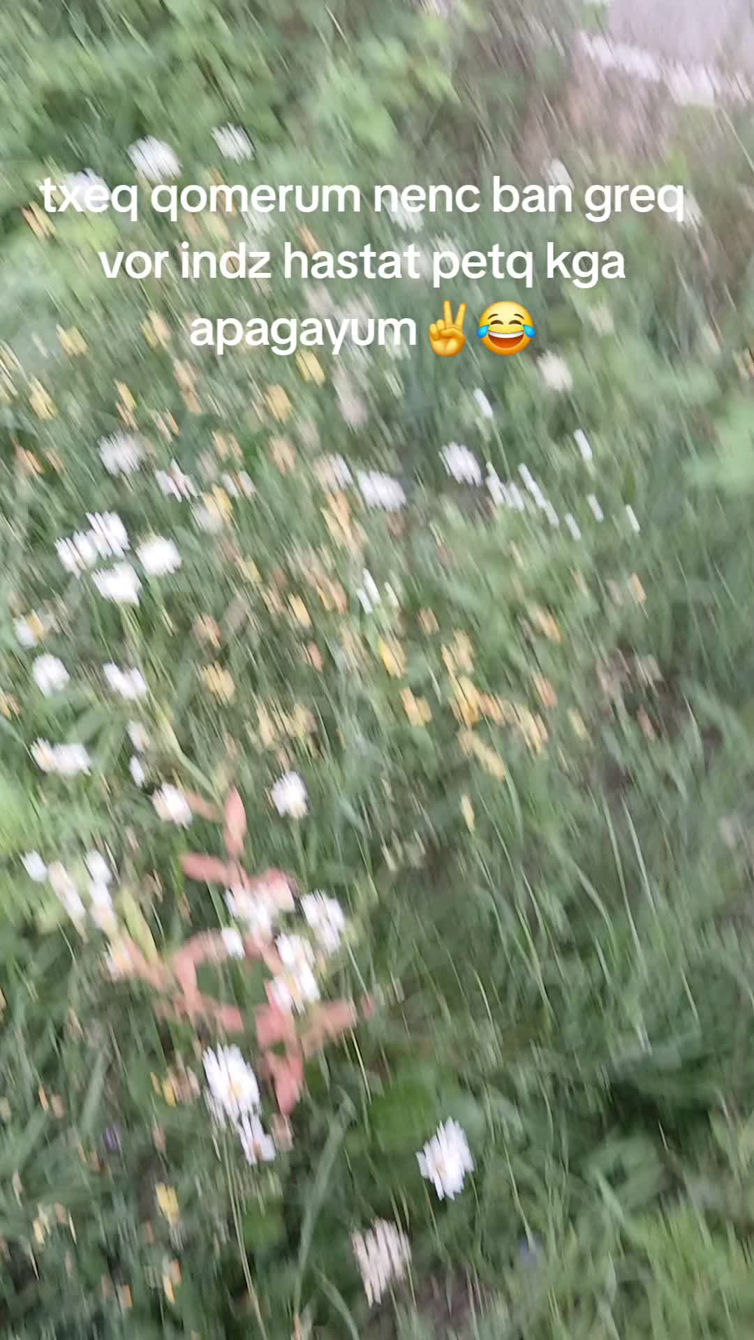 @M1qo