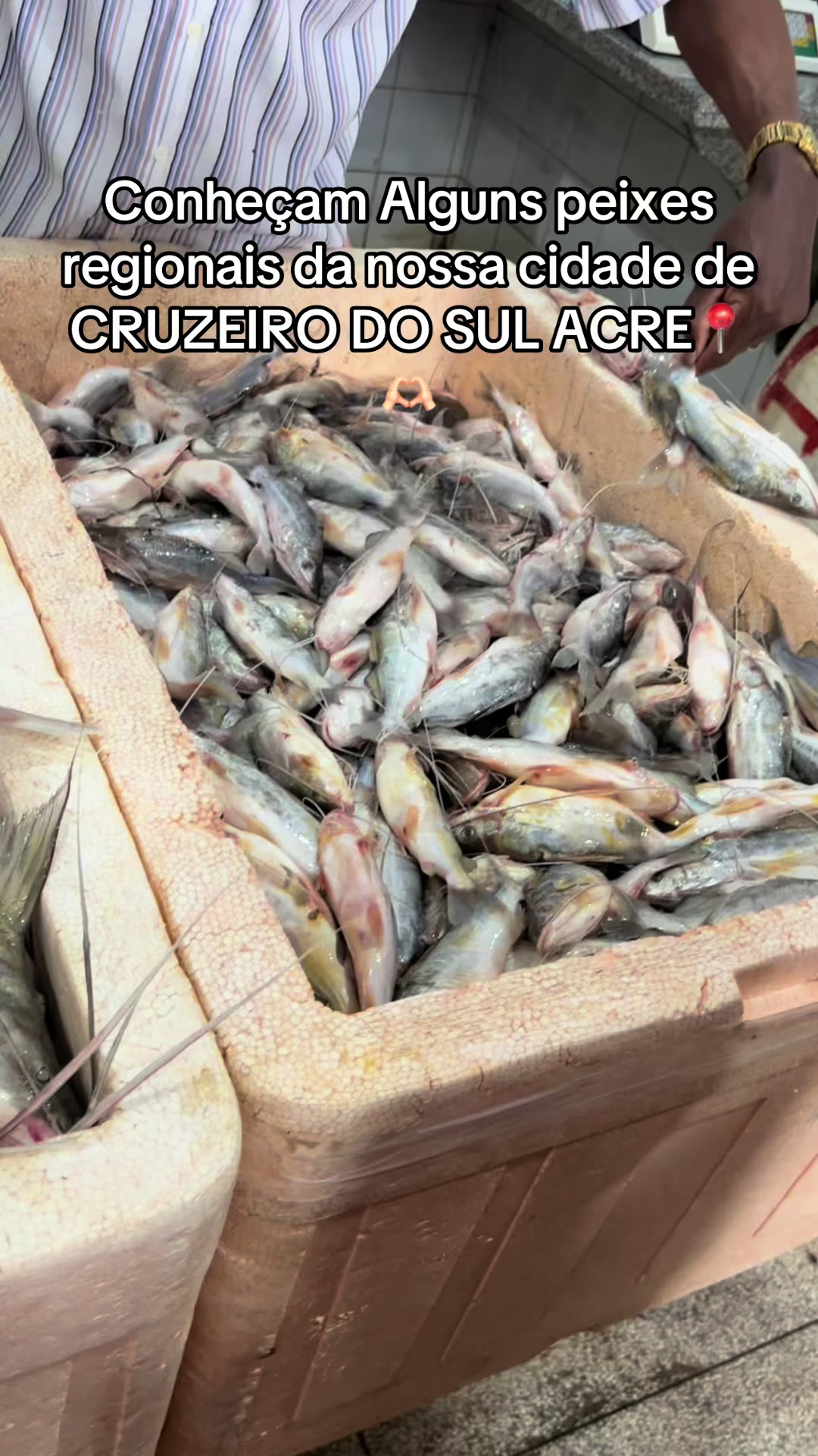 @gloriaczs