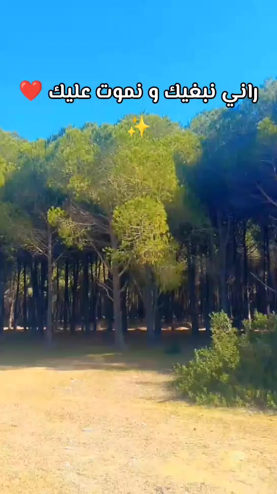 @amal riahi .amoula 1239