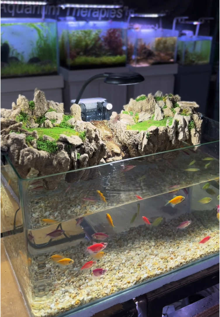 @Rawalumbu Aquatic Design