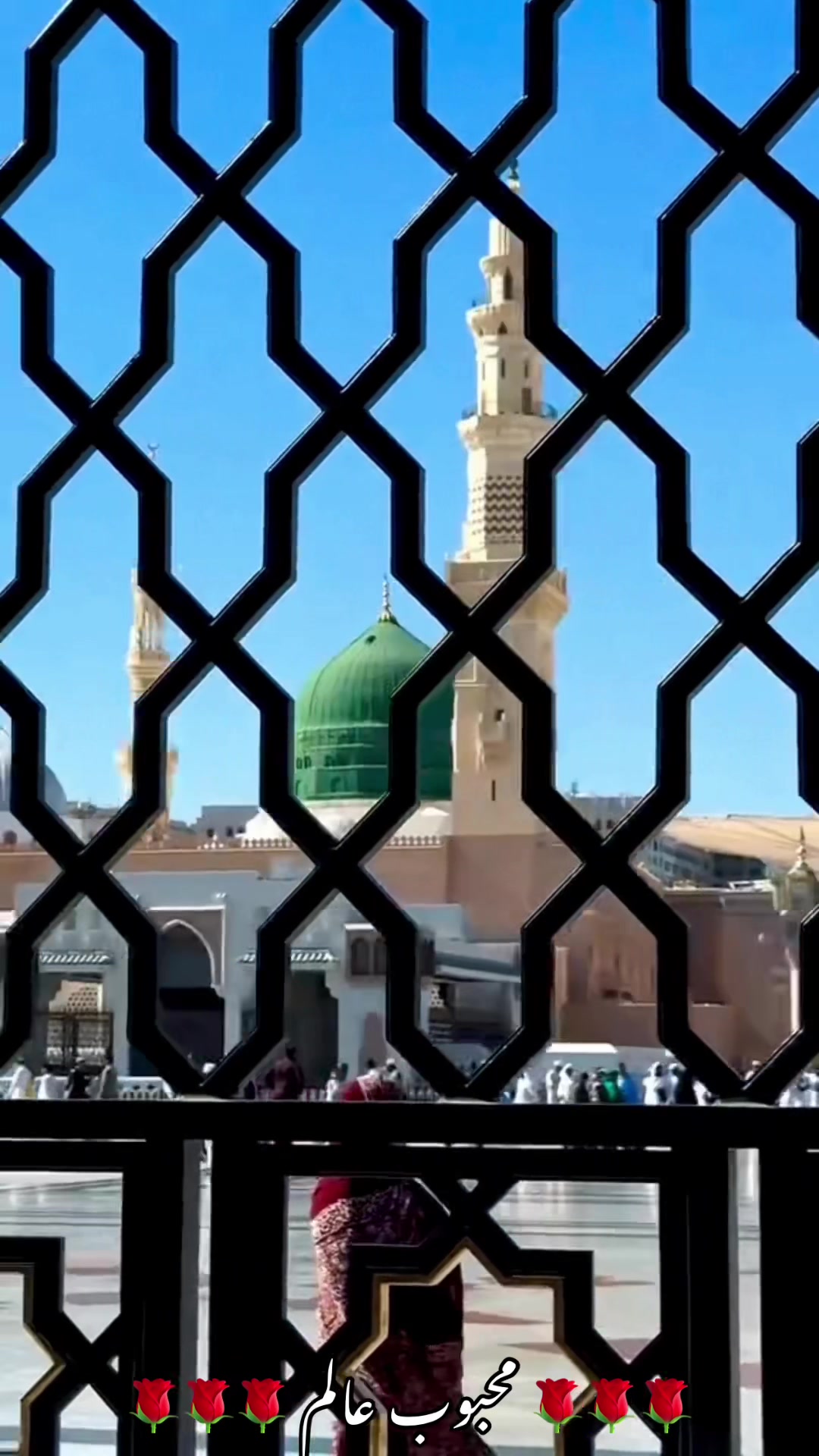 @محبوب عالم