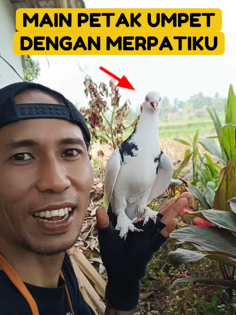 @BANG LEYON