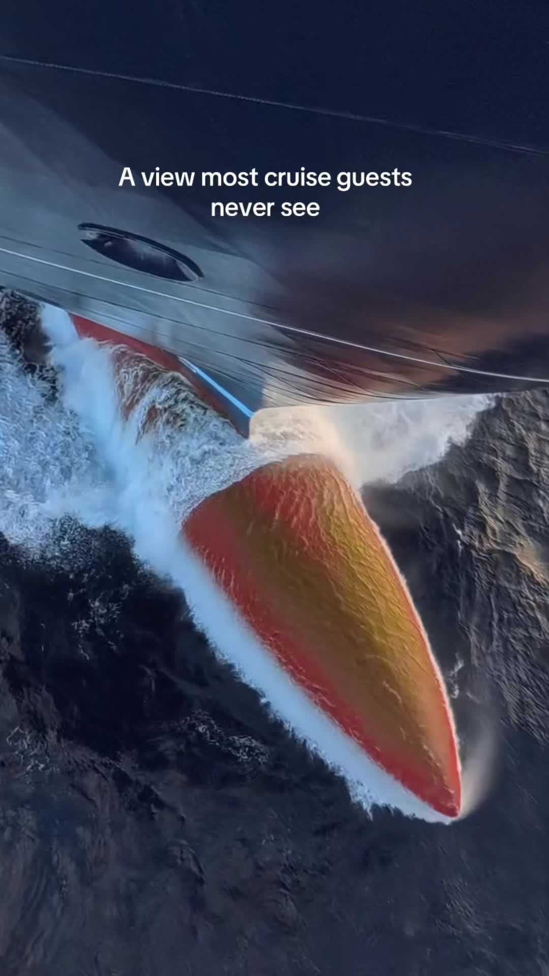 @𝕊𝕖𝕒 𝔽𝕦𝕣𝕪 ☠️