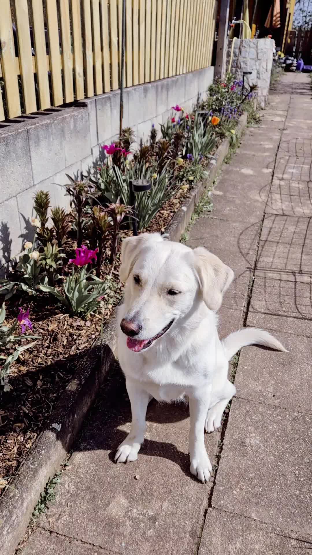 @Nicole🙋🏼♀️ mit 🐕Cora🐾🩷