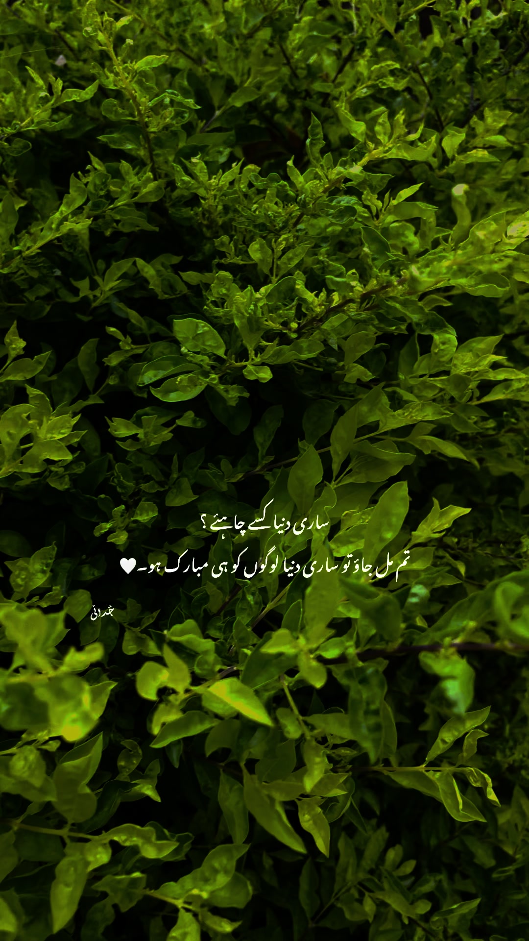 @𓆩 Aabi 𓆪