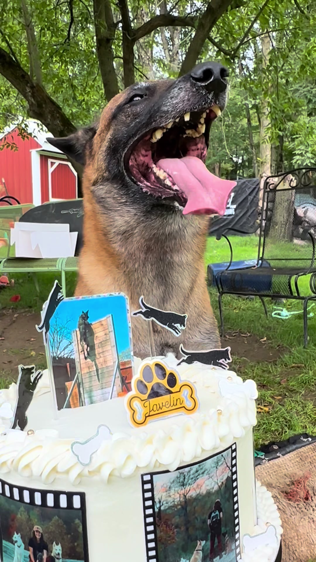 @OUTBOUNDDOGS