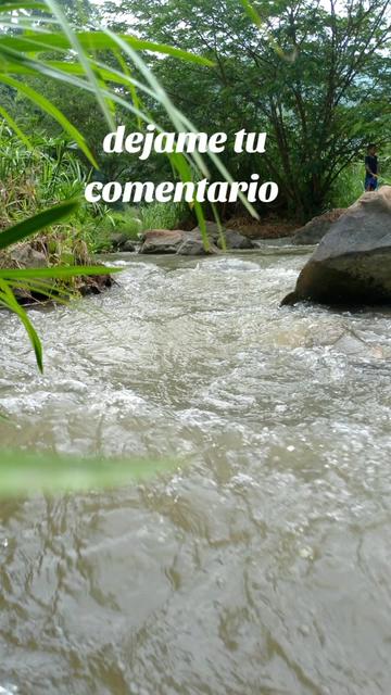 @soy franko39