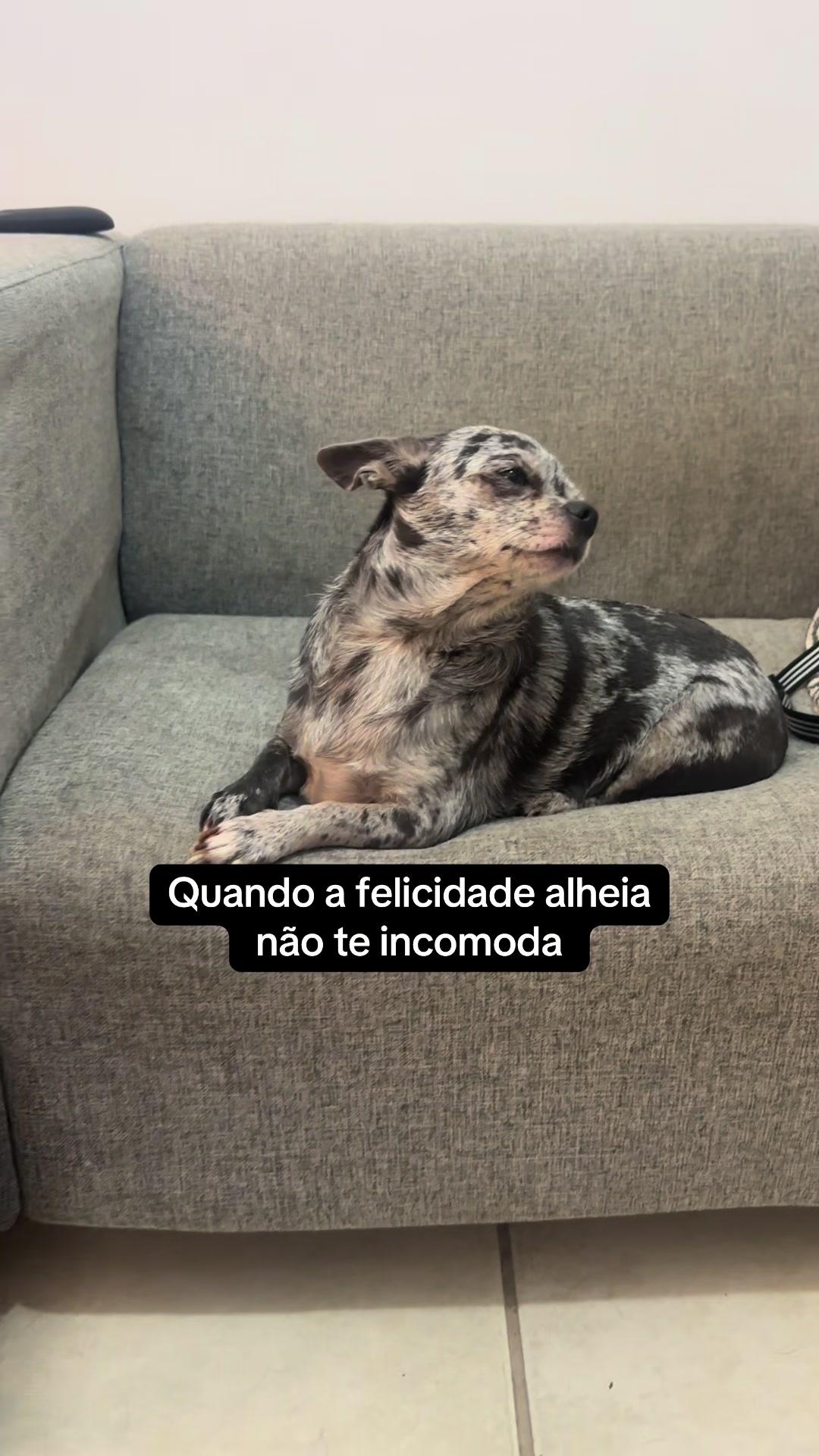 @Ju Mussel