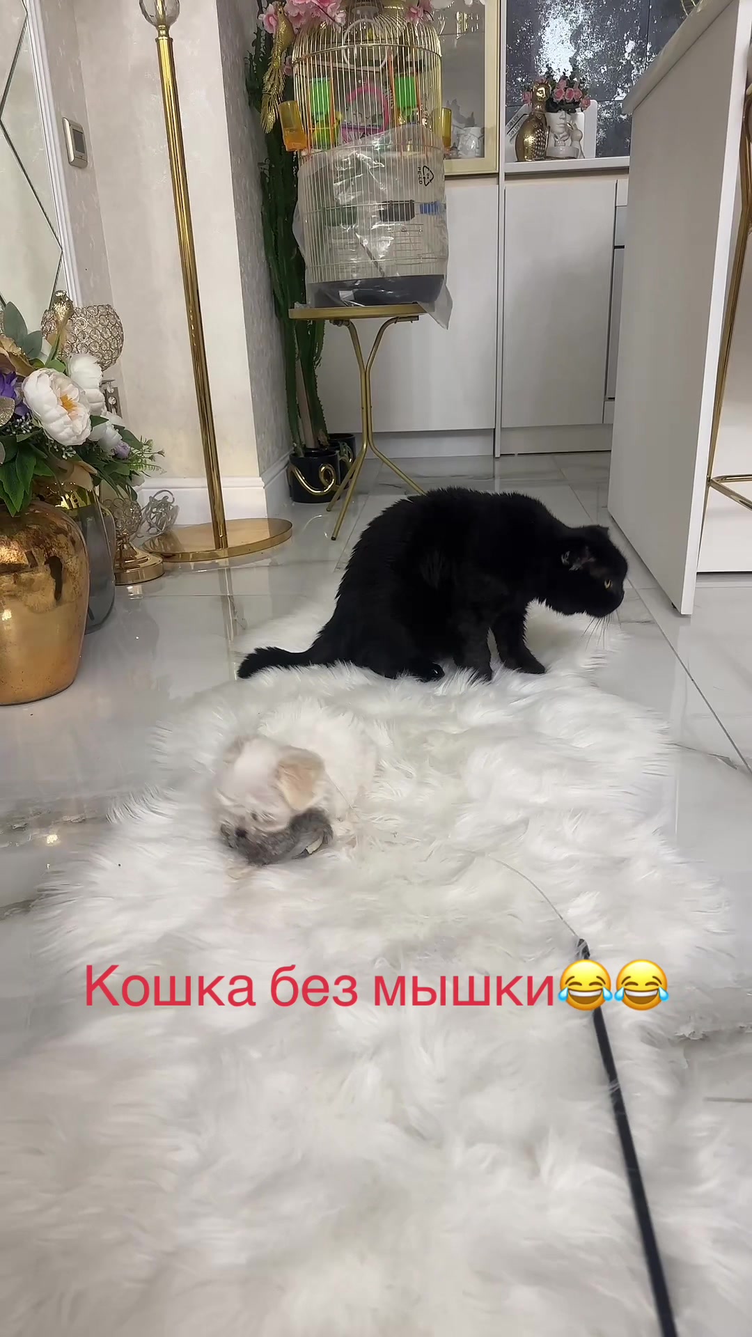 @Лариса Ревтова