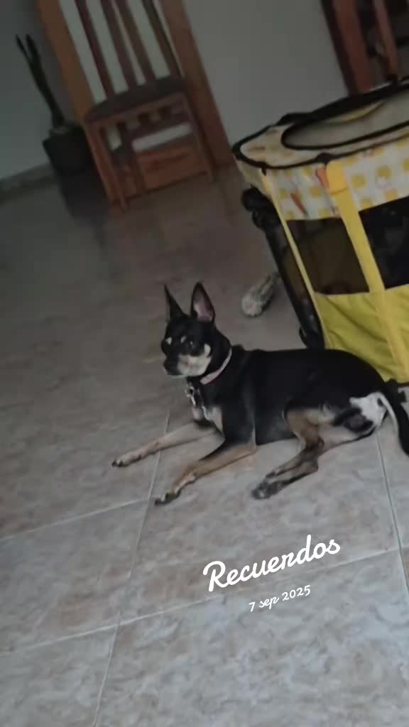 @AntoCM💕