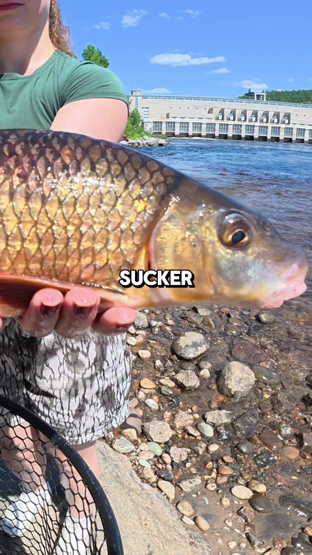 @JlangFishing