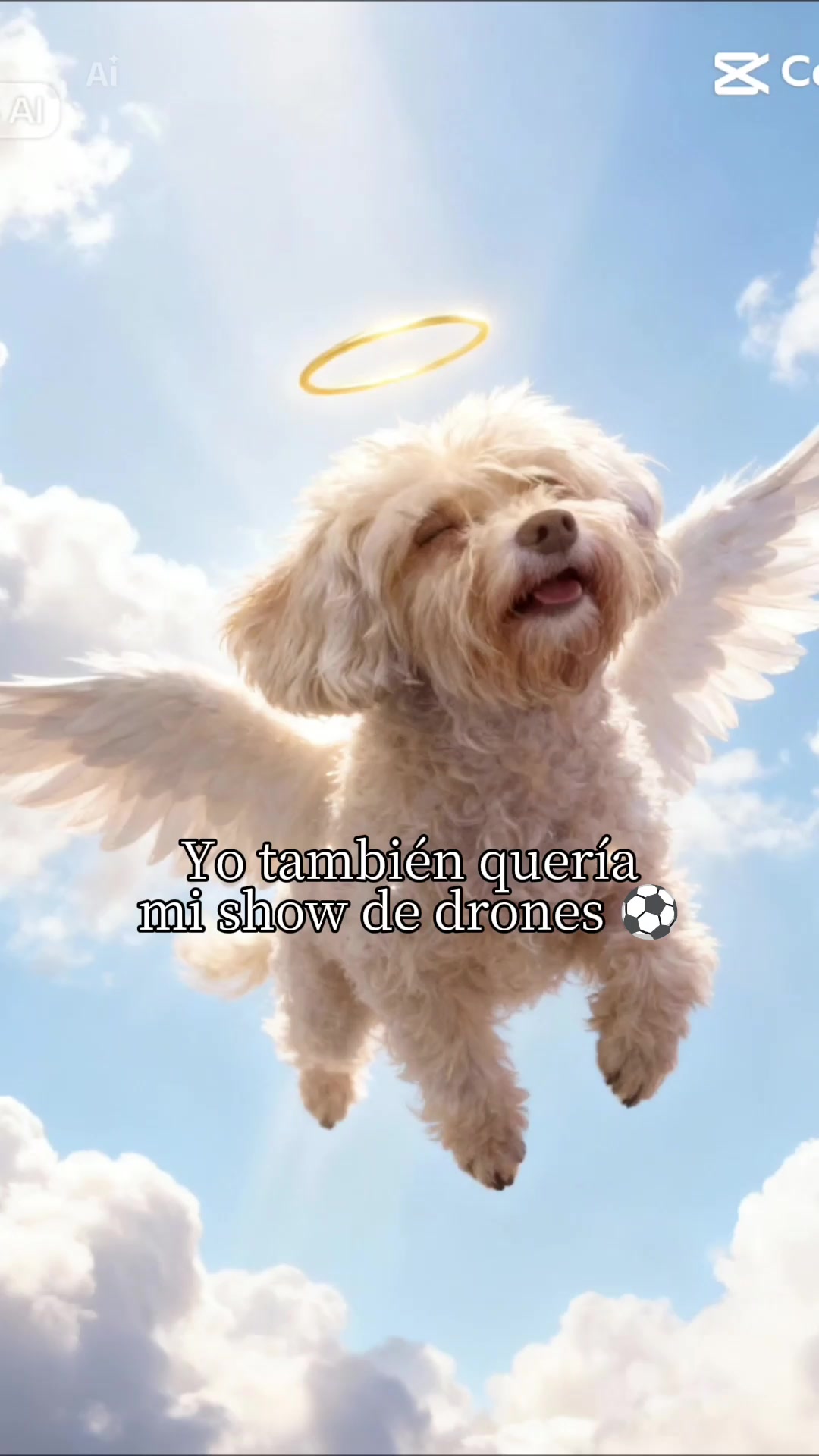 @Usagi