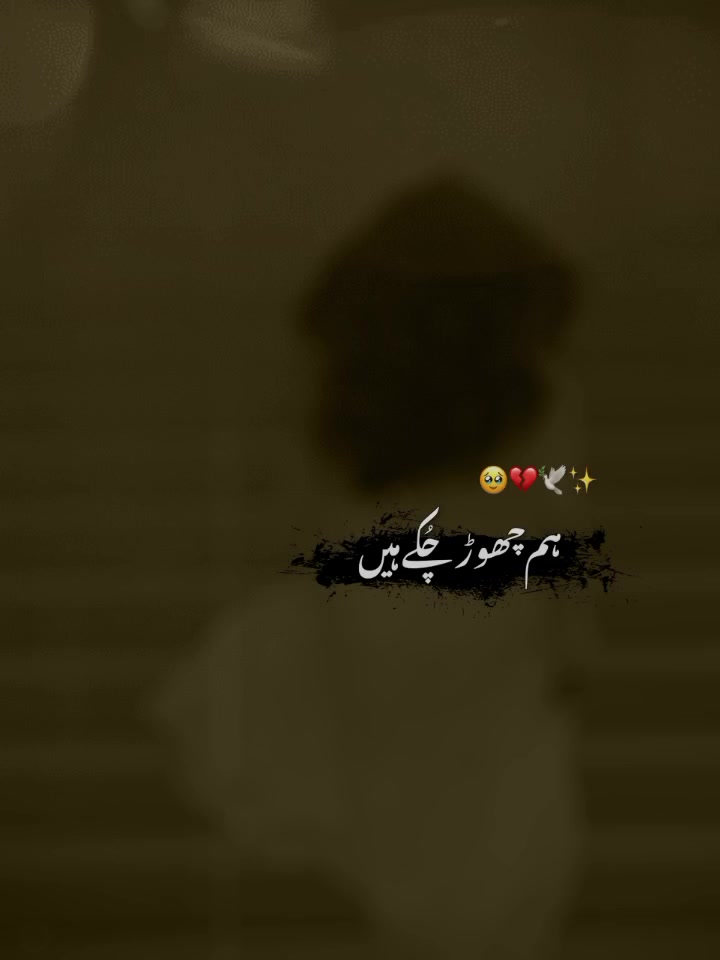 @shehzadi710