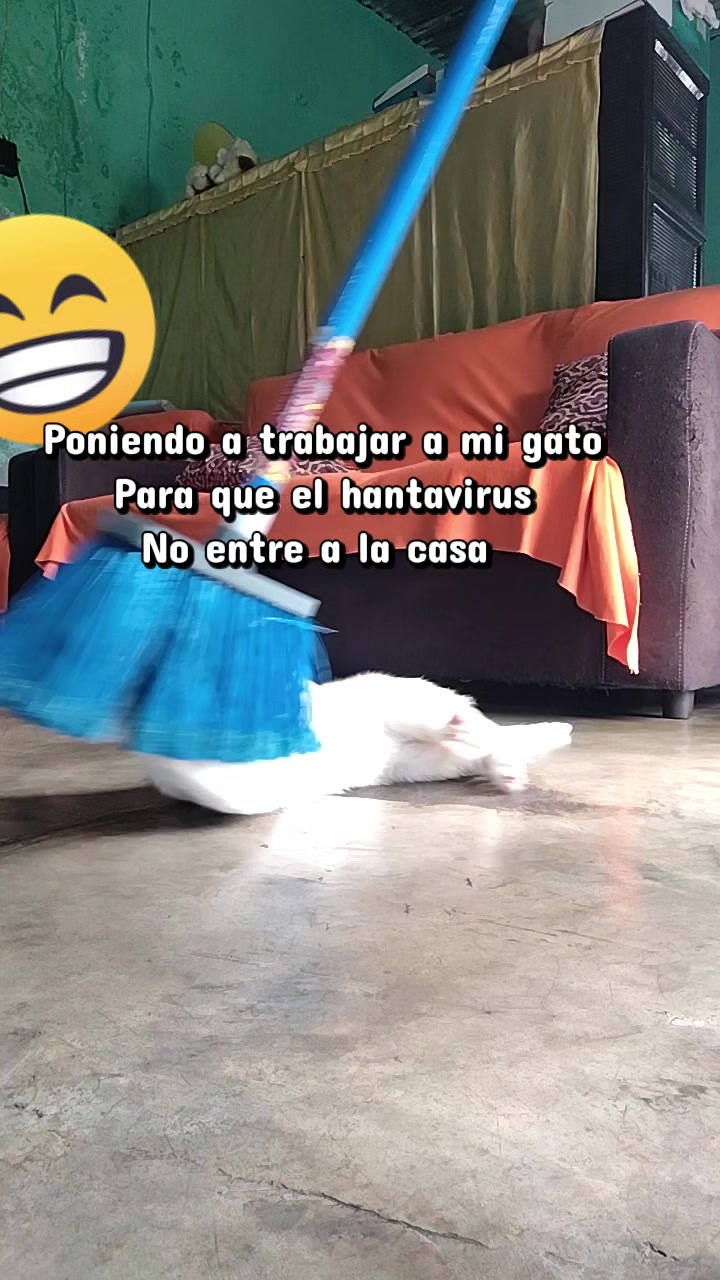 @Vicky.Morales🤩🇬🇹